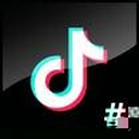 TikTok Hashtag Scraper icon